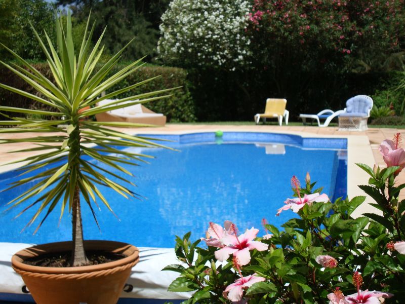 Poolside Hardscaping in Boston, MA